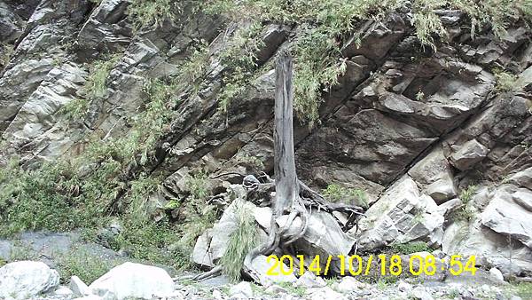 IMG_3283 IMG_3283