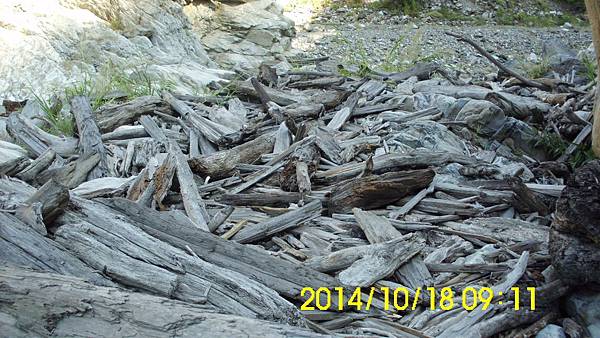 IMG_3296 IMG_3296