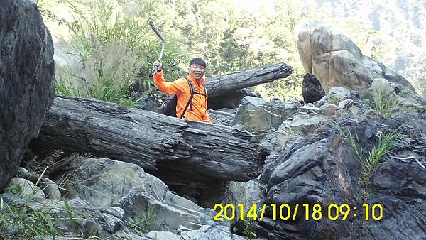IMG_3295 IMG_3295