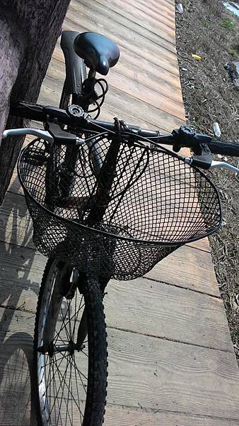 P_20150222_122431[1]