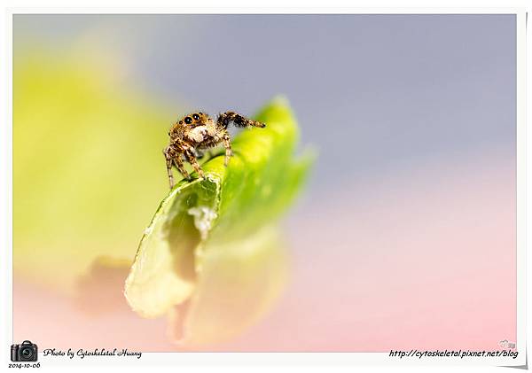 DSC_0898-1 DSC_0898-1