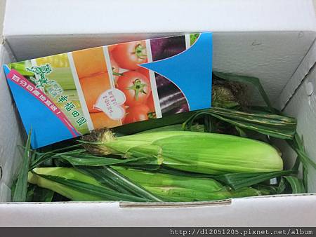 DSCF7648.jpg DSCF7648.jpg