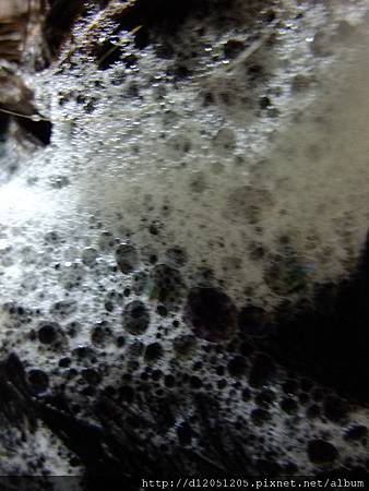 DSCF0111