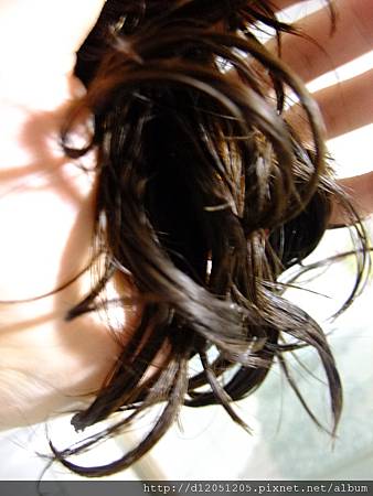DSCF0115 DSCF0115