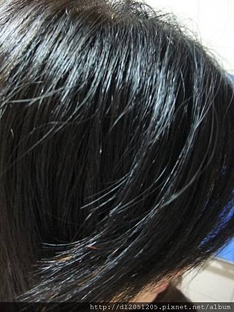 DSCF0104