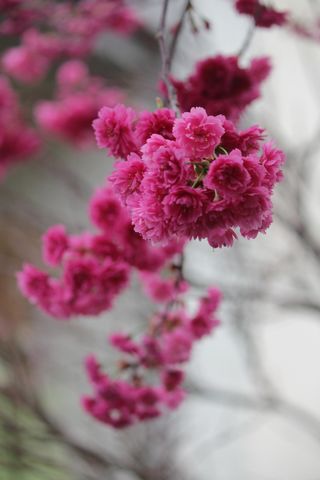 IMG_1667.jpg IMG_1667.jpg