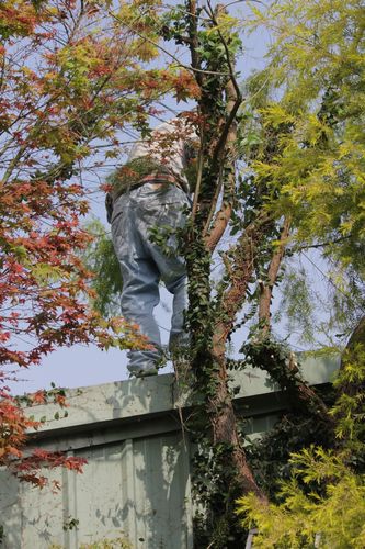 IMG_3049.jpg IMG_3049.jpg