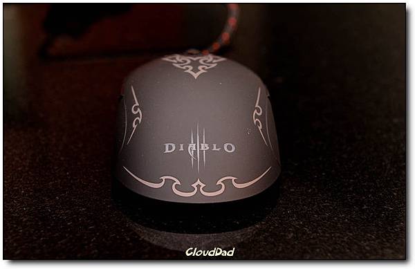 DSC_1600 DSC_1600