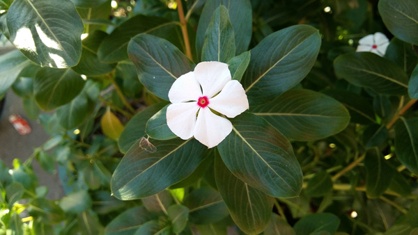 20141122_151149 20141122_151149