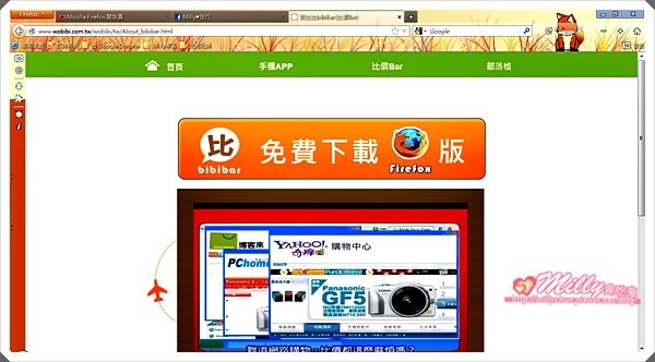 firefox02