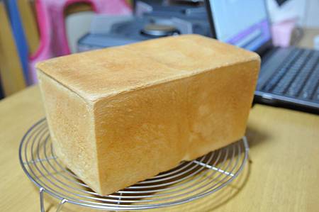 DSC_4173.JPG DSC_4173.JPG