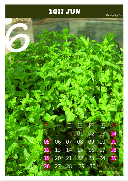 6月 6月