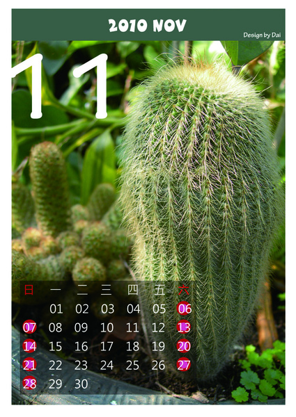 11月 11月