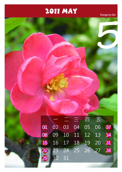 5月 5月