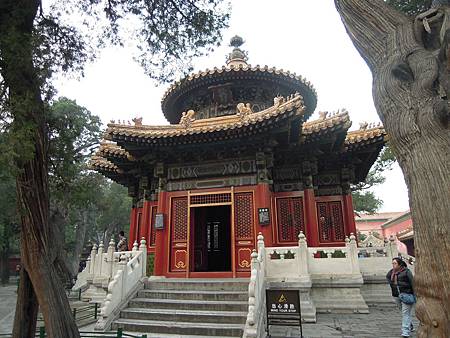 DSCN1446