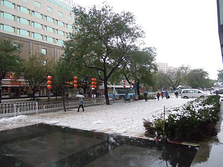 DSCN1503 DSCN1503