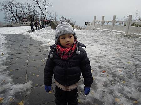 DSCN1519 DSCN1519