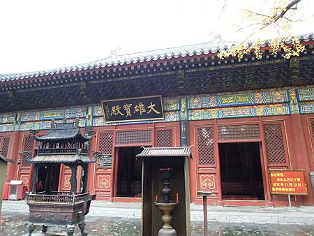 DSCN1584 DSCN1584