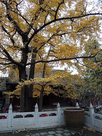 DSCN1609