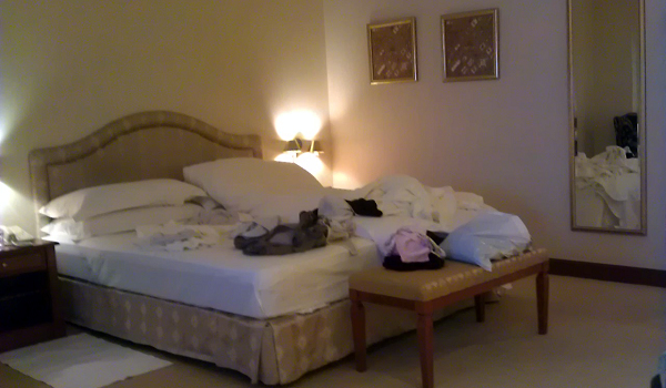 IMAG3609.jpg IMAG3609.jpg