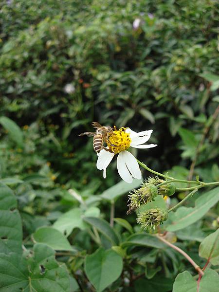 DSC01092.JPG