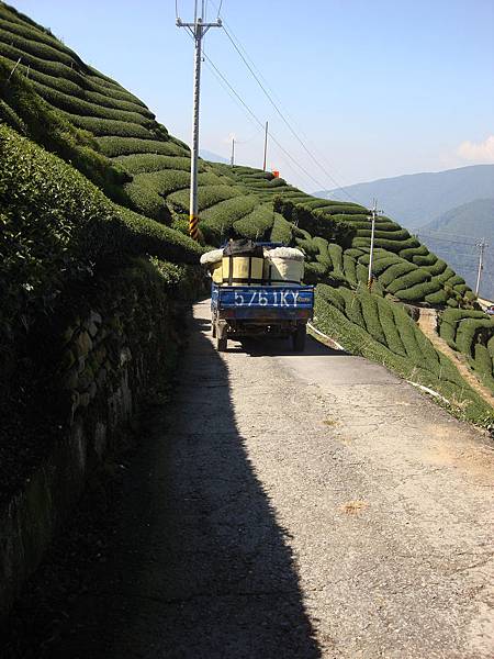 載茶車