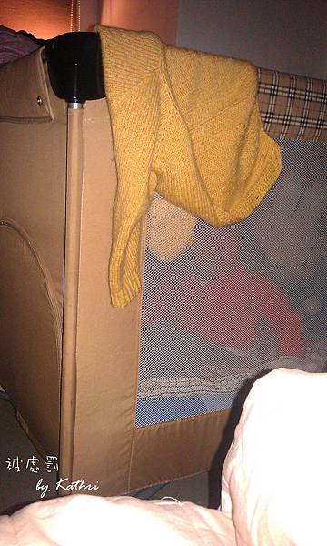 120204[2Y4M8D] 被處罰