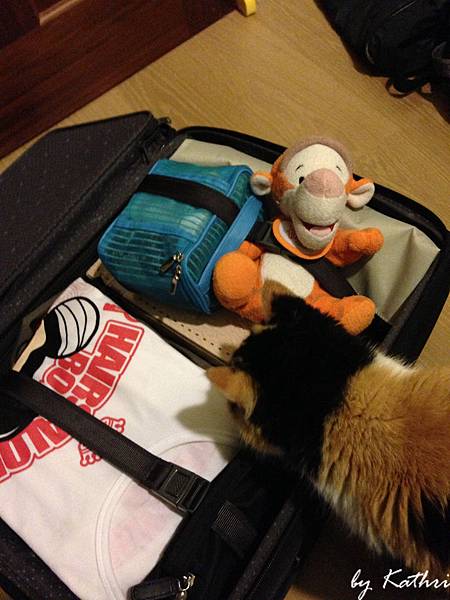 Tigger你又要企哪擬〜〜〜〜〜 Tigger你又要企哪擬〜〜〜〜〜
