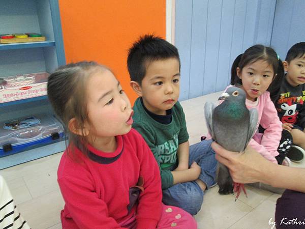 自然田園教學140401_羽毛與飛行 (鴿子他本人).JPG