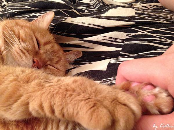 讓人微笑的睡臉 讓人微笑的睡臉