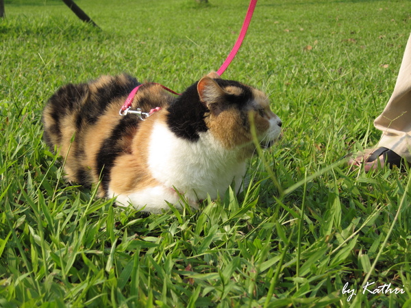 葦妤在羅東運動公園.jpg 葦妤在羅東運動公園.jpg