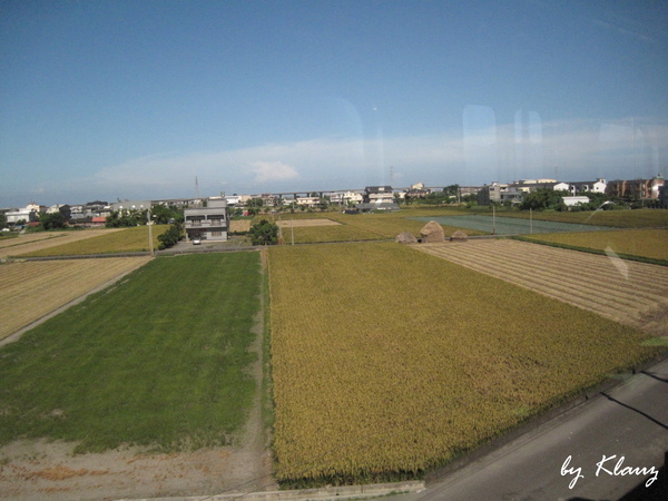 宜蘭的稻田.jpg