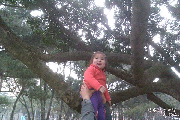 中央大學爬高高.jpg 中央大學爬高高.jpg