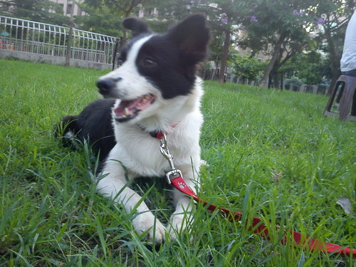 邊境1.jpg 邊境1.jpg