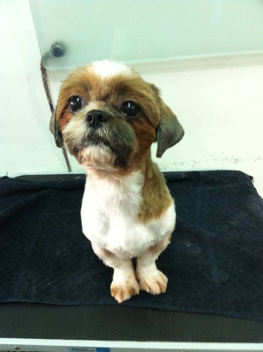 西施3.jpg 西施3.jpg