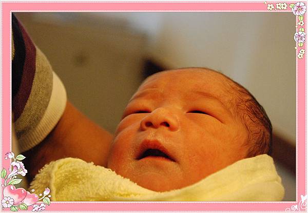 大頭丹開眼.jpg 大頭丹開眼.jpg