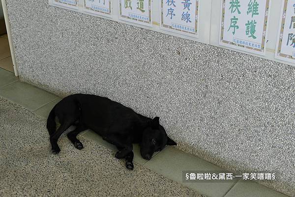 圖片26.jpg 圖片26.jpg