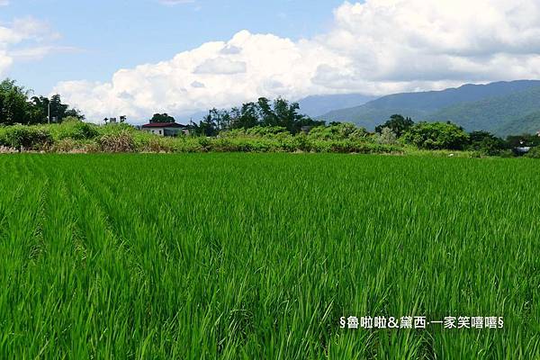 圖片29.jpg 圖片29.jpg