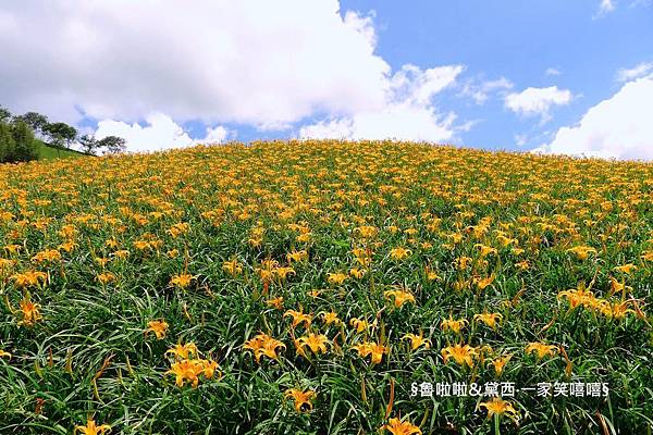 圖片32.jpg 圖片32.jpg
