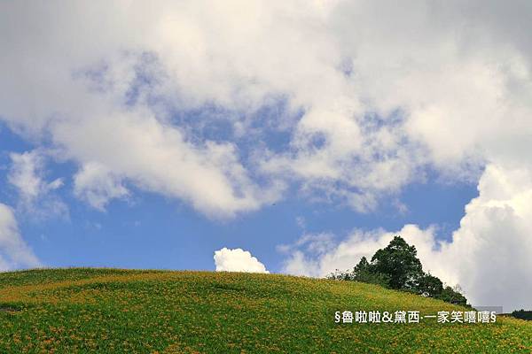 圖片36.jpg 圖片36.jpg