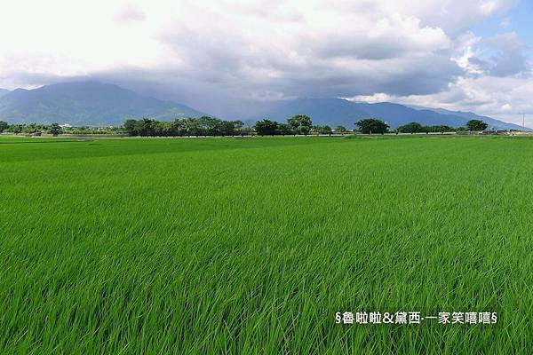 圖片49.jpg 圖片49.jpg