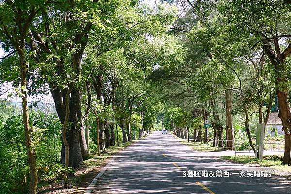 圖片61.jpg 圖片61.jpg