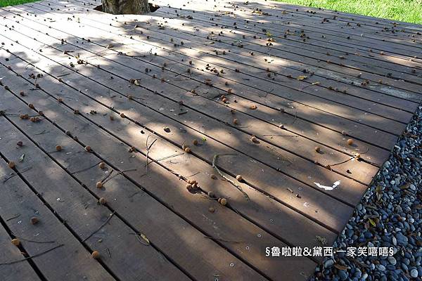 圖片71.jpg 圖片71.jpg