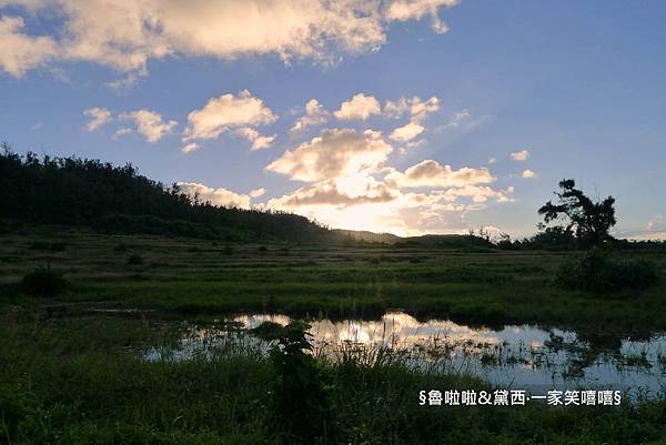 圖片43.jpg 圖片43.jpg