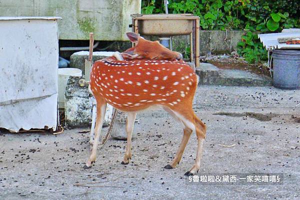 圖片52.jpg 圖片52.jpg