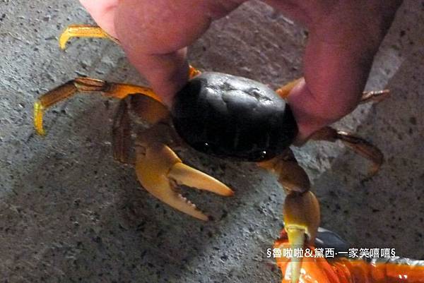 圖片57.jpg 圖片57.jpg