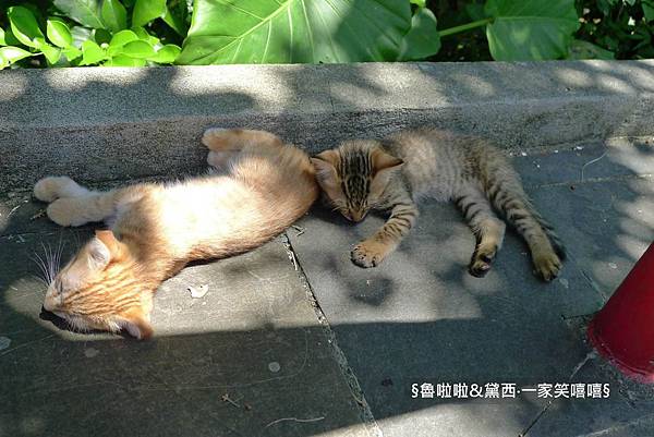 圖片28.jpg 圖片28.jpg