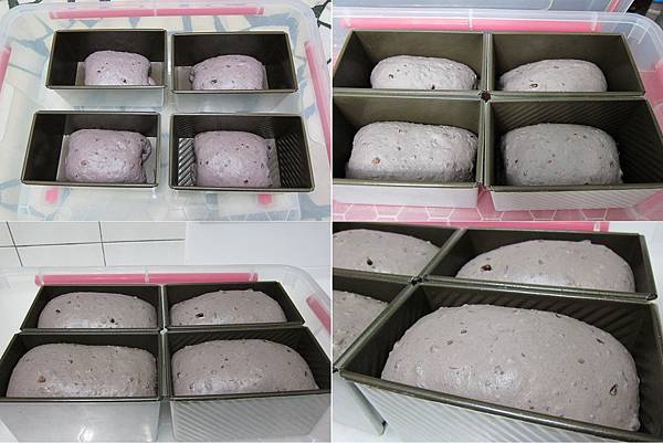 最後發酵 - 4合1