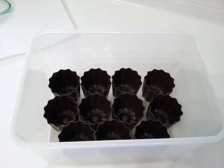 可麗鹿模1 可麗鹿模1