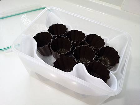 可麗露模2 可麗露模2